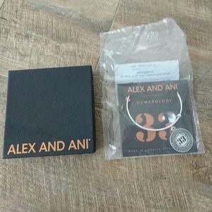 Alex and Ani charm bracelet